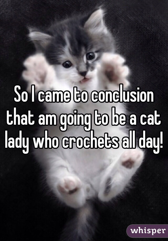So I came to conclusion that am going to be a cat lady who crochets all day!  