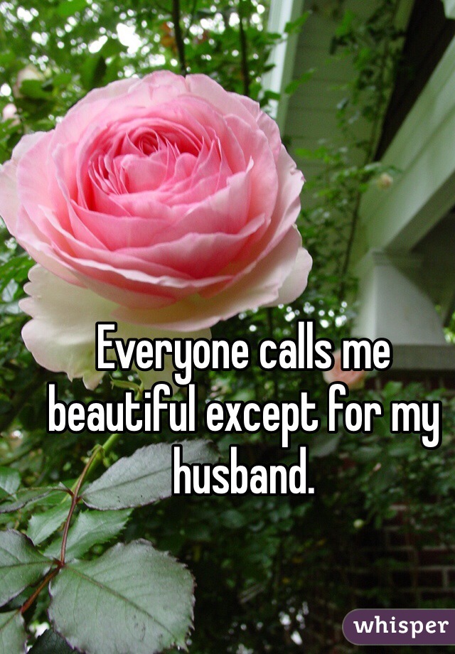 Everyone calls me beautiful except for my husband. 