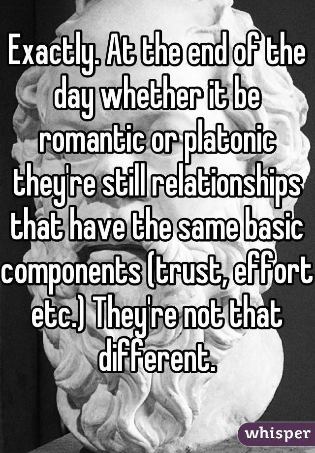 Exactly. At the end of the day whether it be romantic or platonic they're still relationships that have the same basic components (trust, effort etc.) They're not that different.