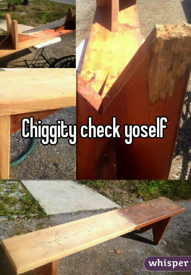 Chiggity check yoself