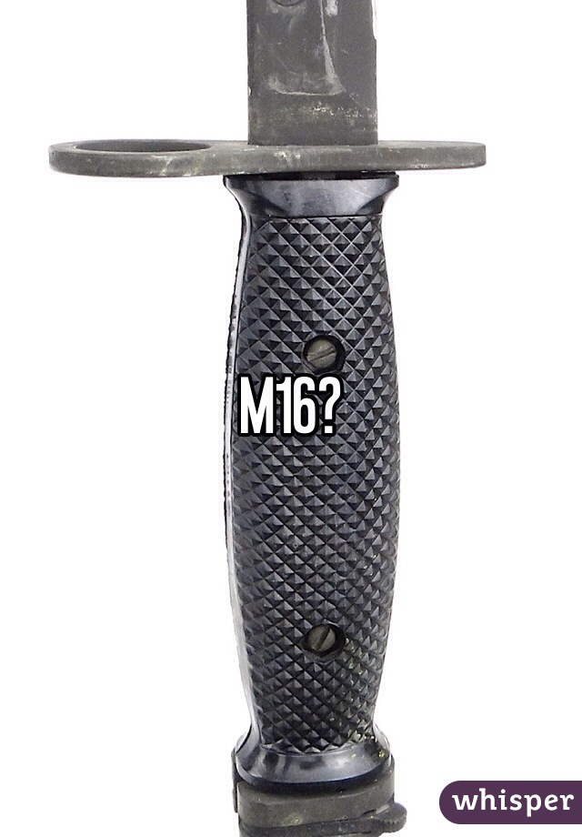 M16?