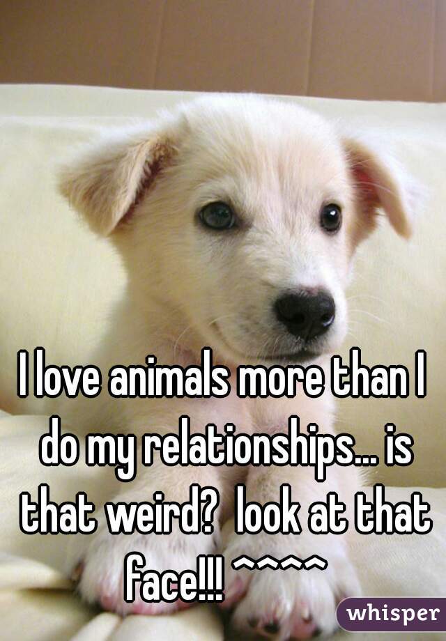 I love animals more than I do my relationships... is that weird?  look at that face!!! ^^^^