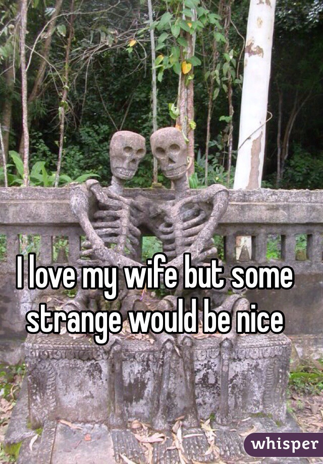 I love my wife but some strange would be nice 