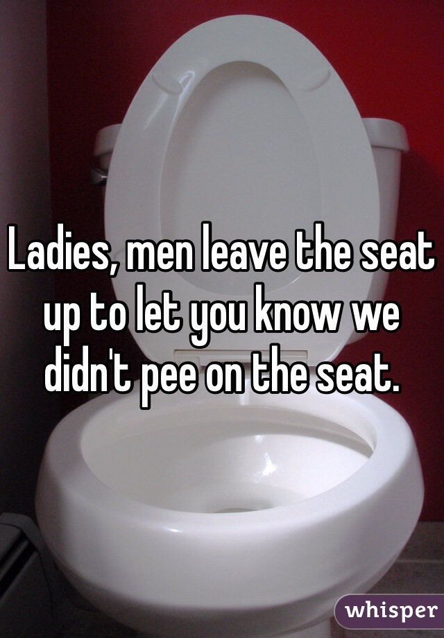 Ladies, men leave the seat up to let you know we didn't pee on the seat.