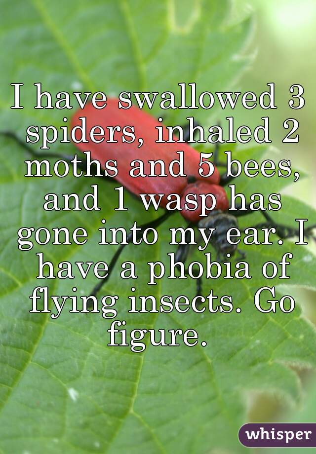 I have swallowed 3 spiders, inhaled 2 moths and 5 bees, and 1 wasp has gone into my ear. I have a phobia of flying insects. Go figure. 