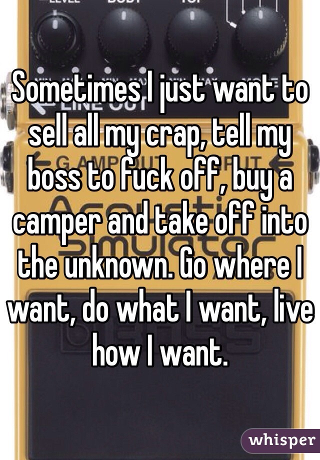 Sometimes I just want to sell all my crap, tell my boss to fuck off, buy a camper and take off into the unknown. Go where I want, do what I want, live how I want. 