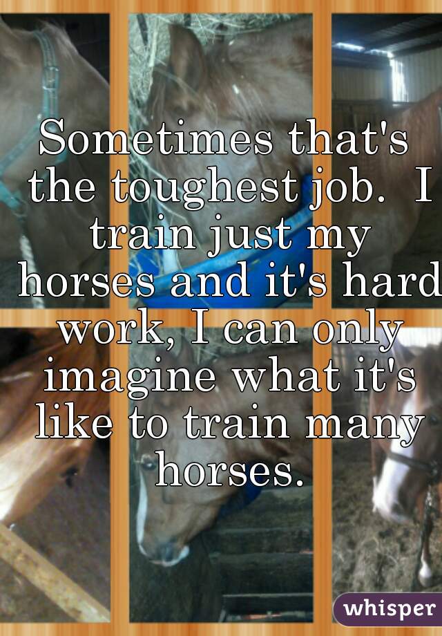 Sometimes that's the toughest job.  I train just my horses and it's hard work, I can only imagine what it's like to train many horses.