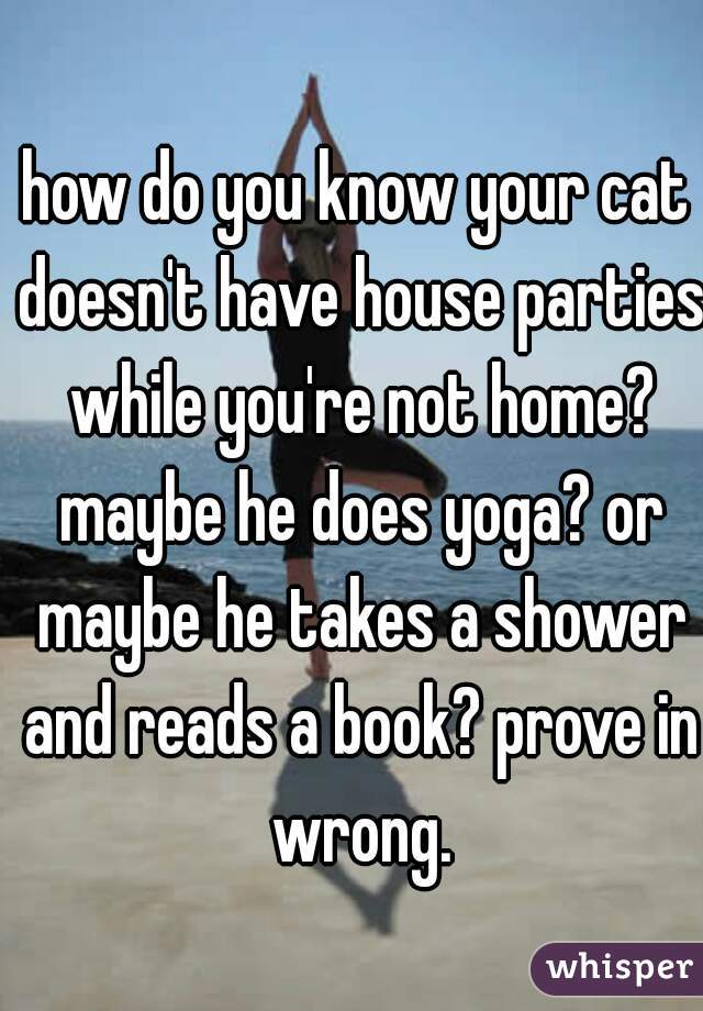 how do you know your cat doesn't have house parties while you're not home? maybe he does yoga? or maybe he takes a shower and reads a book? prove in wrong.