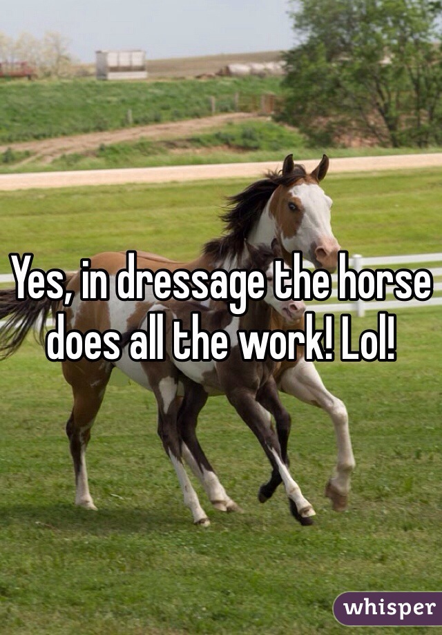 Yes, in dressage the horse does all the work! Lol!