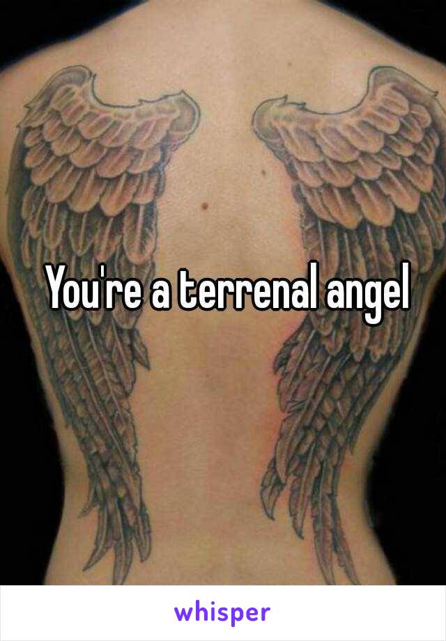 You're a terrenal angel 