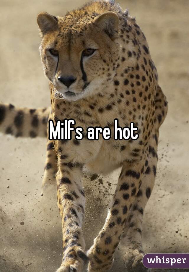 Milfs are hot
