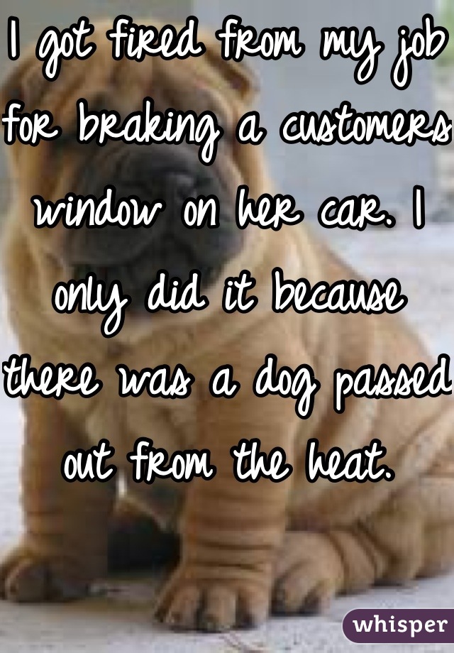 I got fired from my job for braking a customers window on her car. I only did it because there was a dog passed out from the heat.
