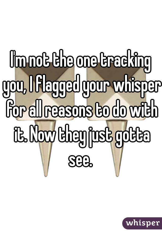 I'm not the one tracking you, I flagged your whisper for all reasons to do with it. Now they just gotta see. 