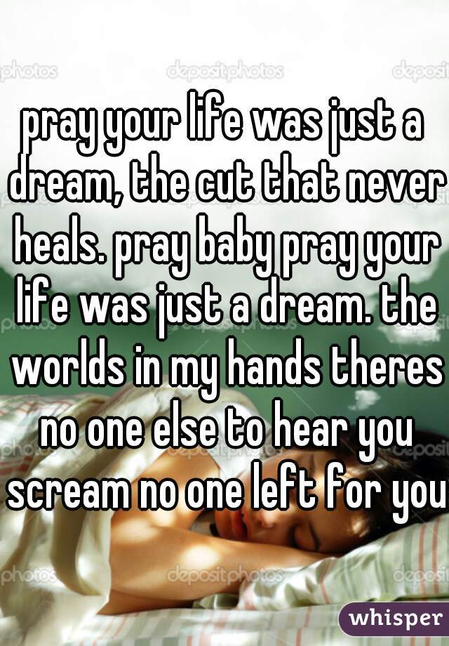 pray your life was just a dream, the cut that never heals. pray baby pray your life was just a dream. the worlds in my hands theres no one else to hear you scream no one left for you