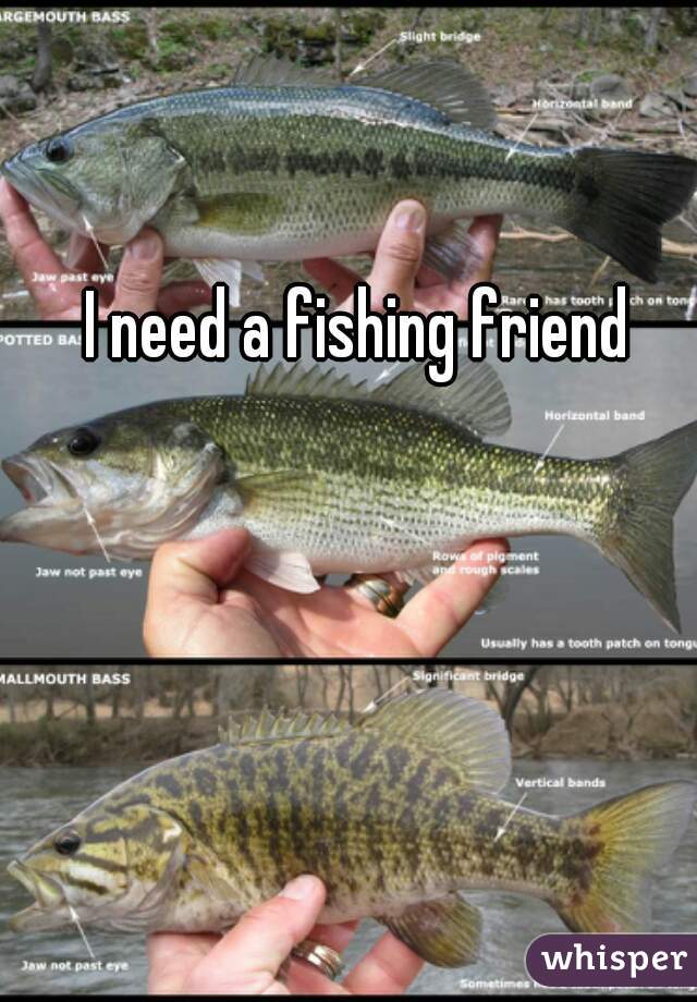 I need a fishing friend