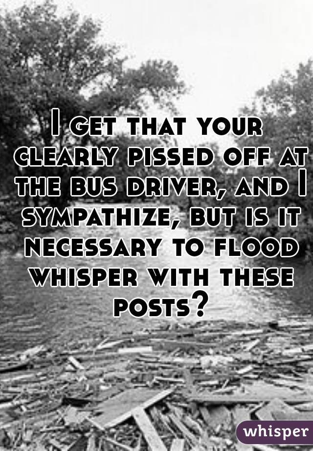 I get that your clearly pissed off at the bus driver, and I sympathize, but is it necessary to flood whisper with these posts?