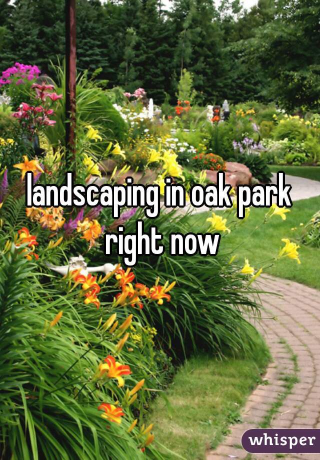 landscaping in oak park right now