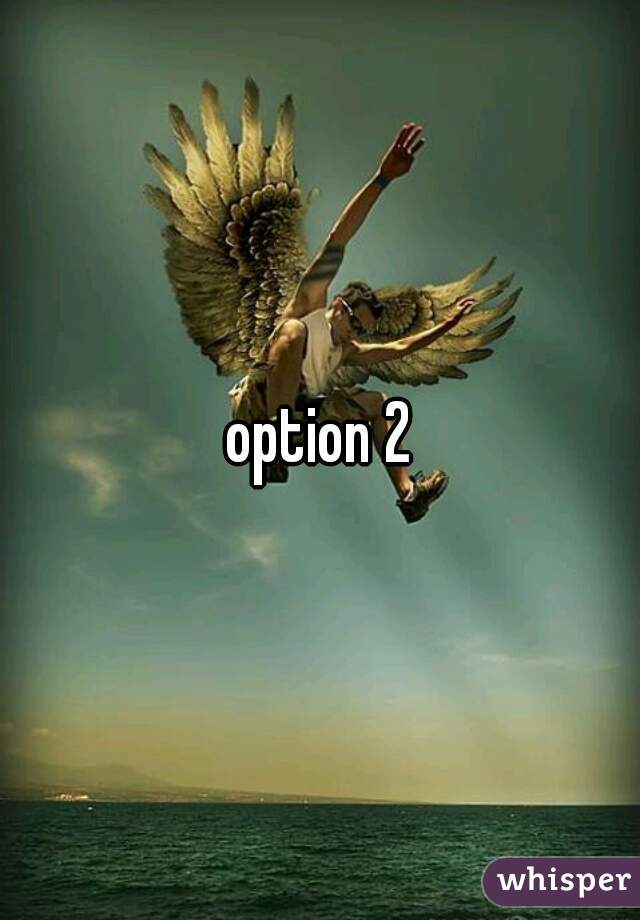 option 2