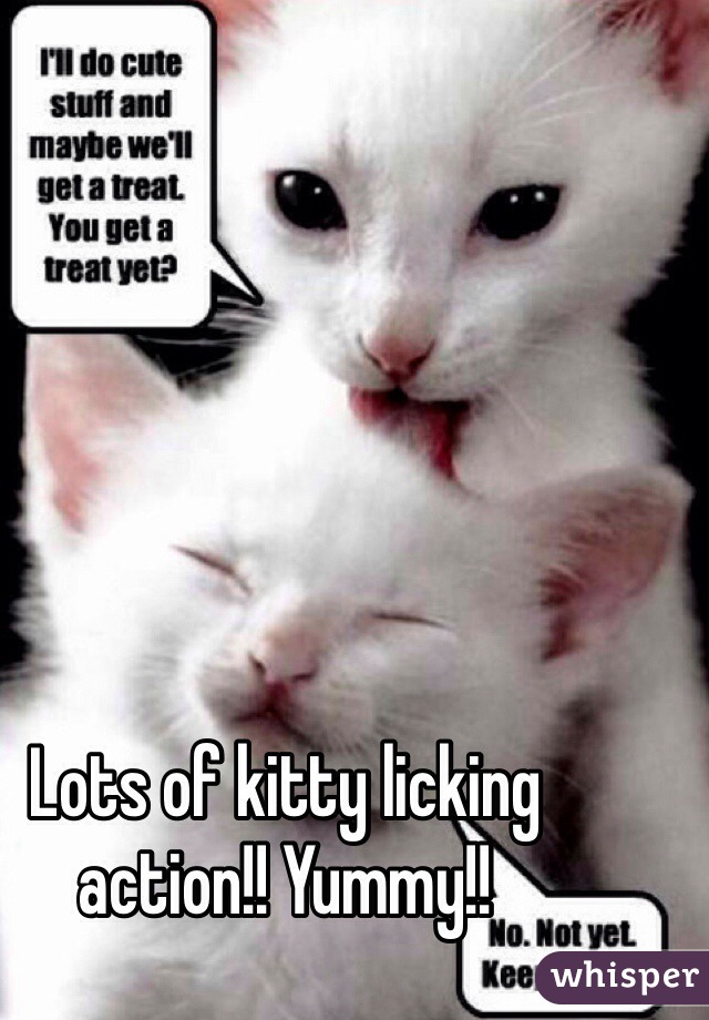Lots of kitty licking action!! Yummy!!