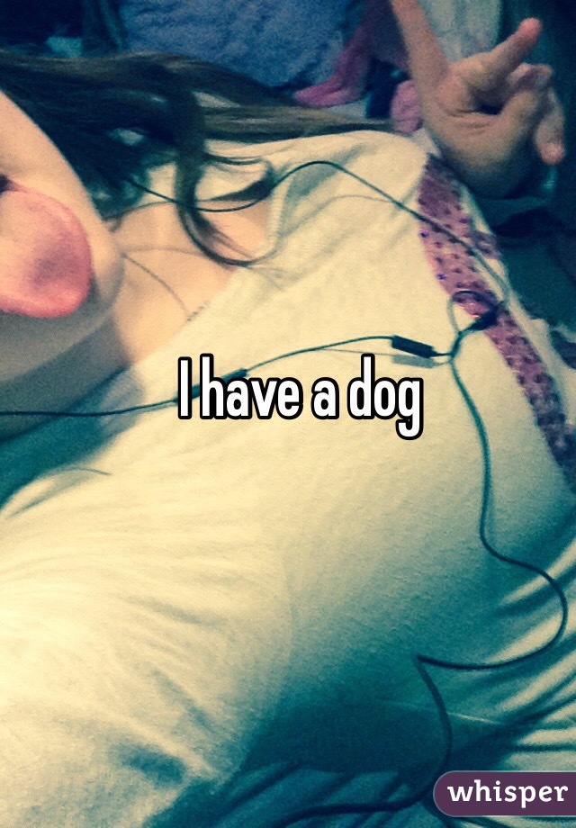 I have a dog  