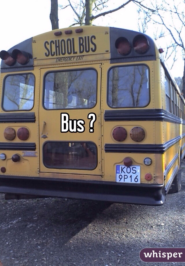 Bus ? 