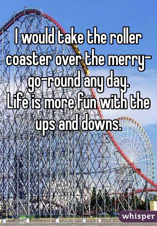 
I would take the roller coaster over the merry-go-round any day.
Life is more fun with the ups and downs. 
