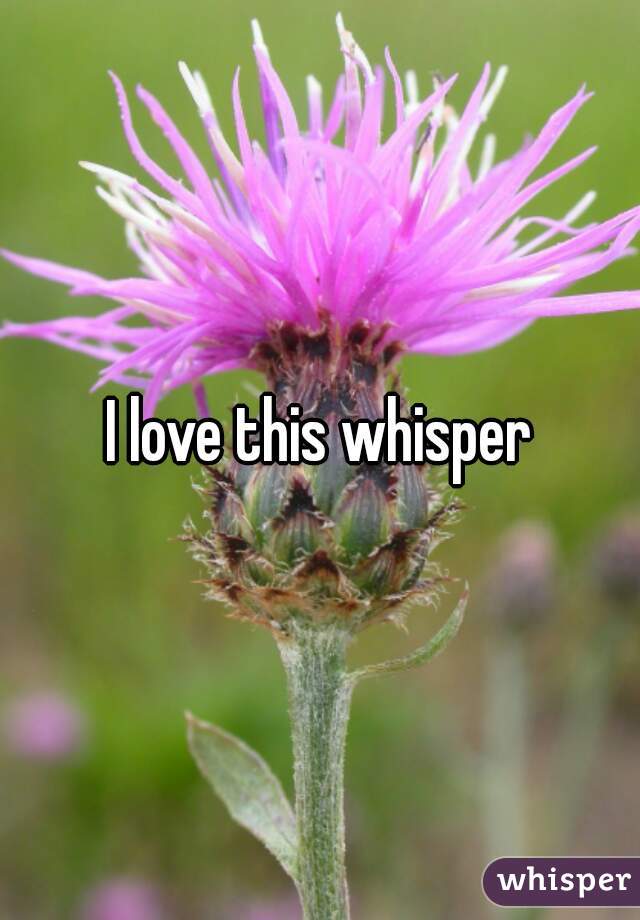 I love this whisper