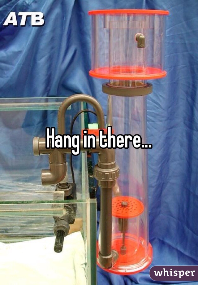Hang in there...