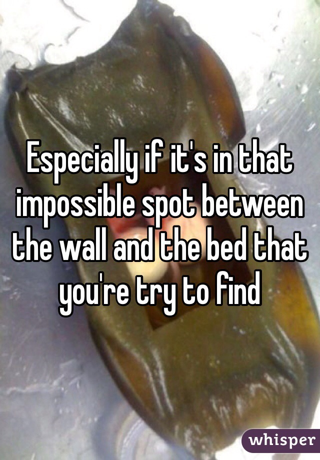Especially if it's in that impossible spot between the wall and the bed that you're try to find