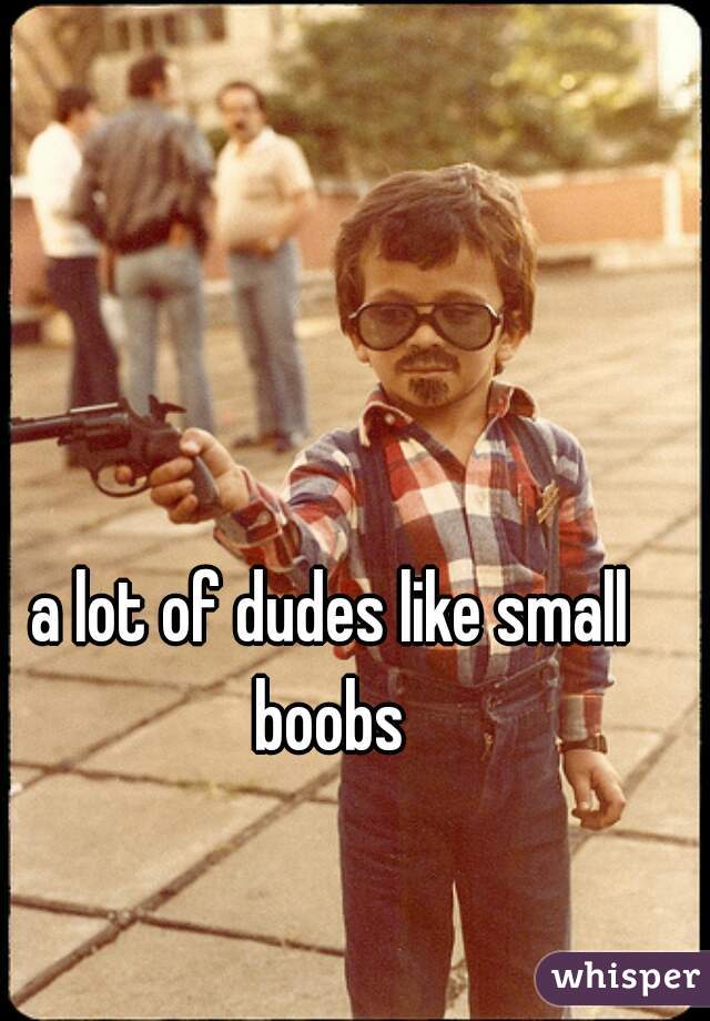 a lot of dudes like small boobs 