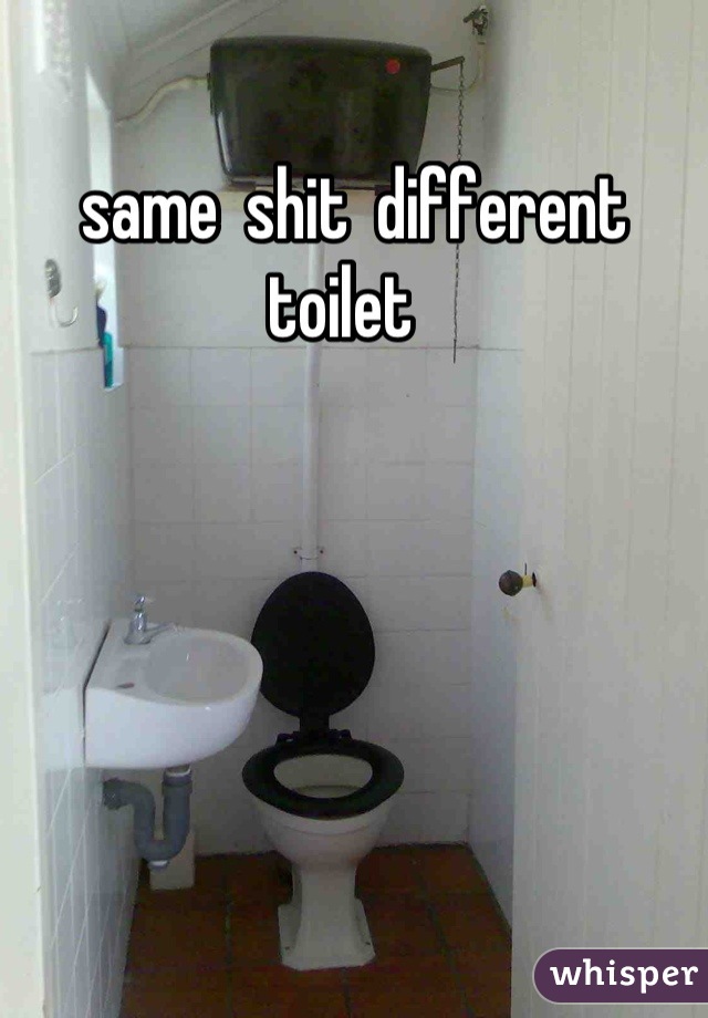 same  shit  different  toilet  