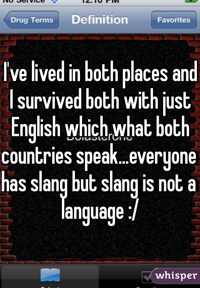 I've lived in both places and I survived both with just English which what both countries speak...everyone has slang but slang is not a language :/