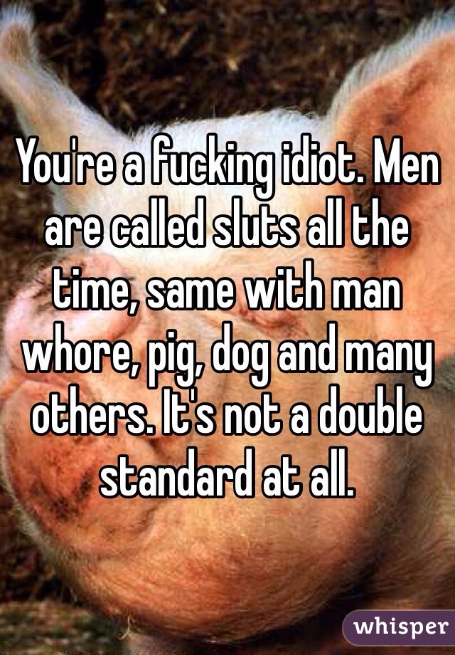 You're a fucking idiot. Men are called sluts all the time, same with man whore, pig, dog and many others. It's not a double standard at all.