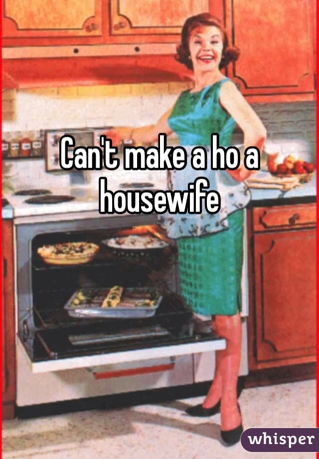 Can't make a ho a housewife 