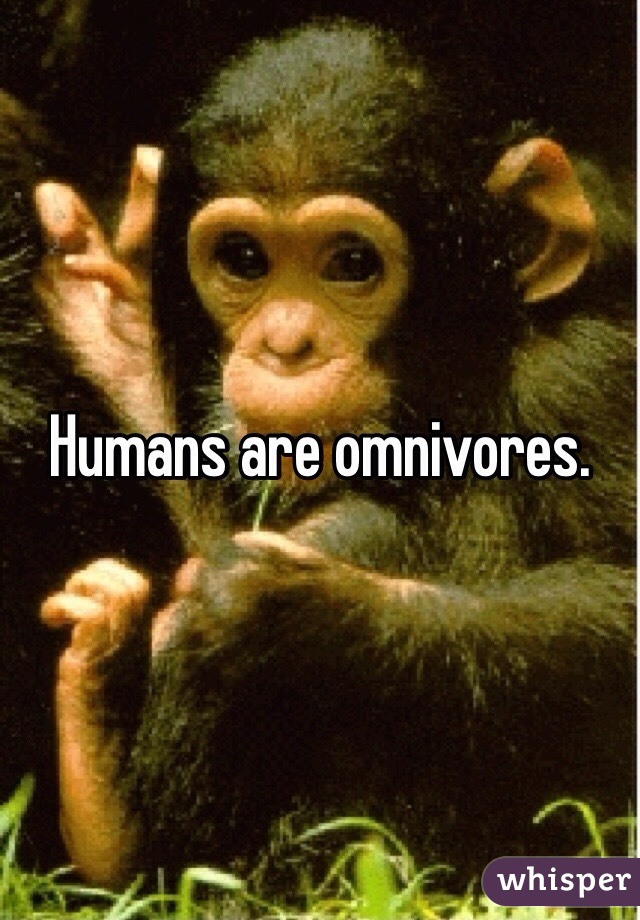 Humans are omnivores. 