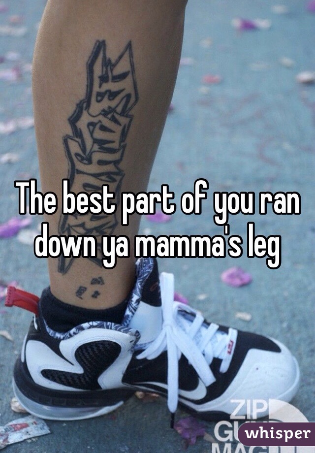 The best part of you ran down ya mamma's leg