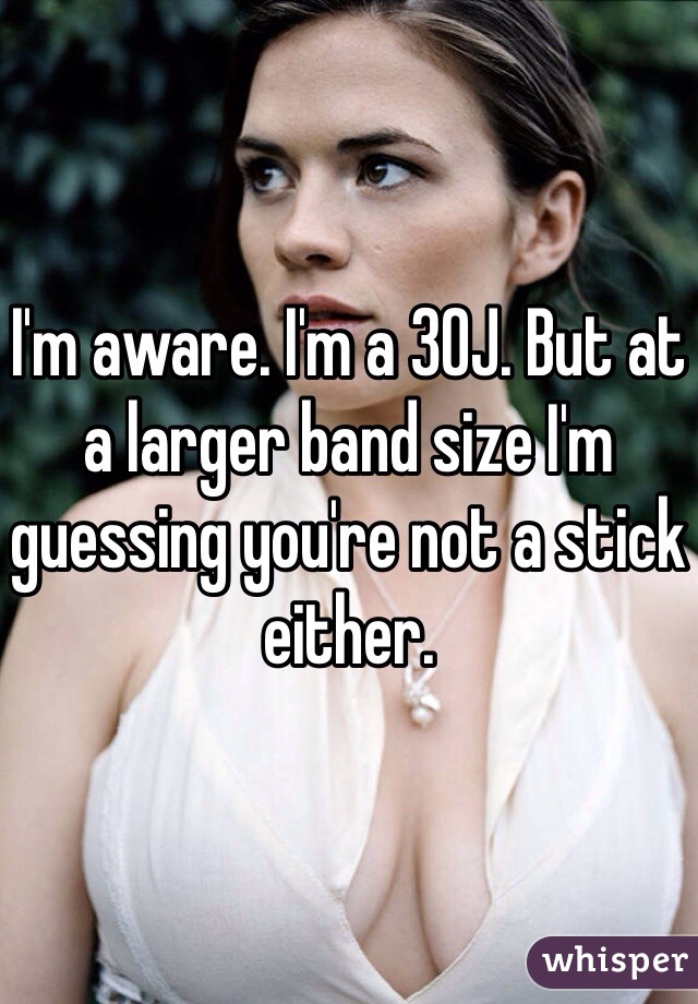 I'm aware. I'm a 30J. But at a larger band size I'm guessing you're not a stick either. 