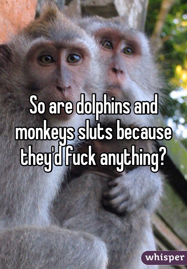 So are dolphins and monkeys sluts because they'd fuck anything?