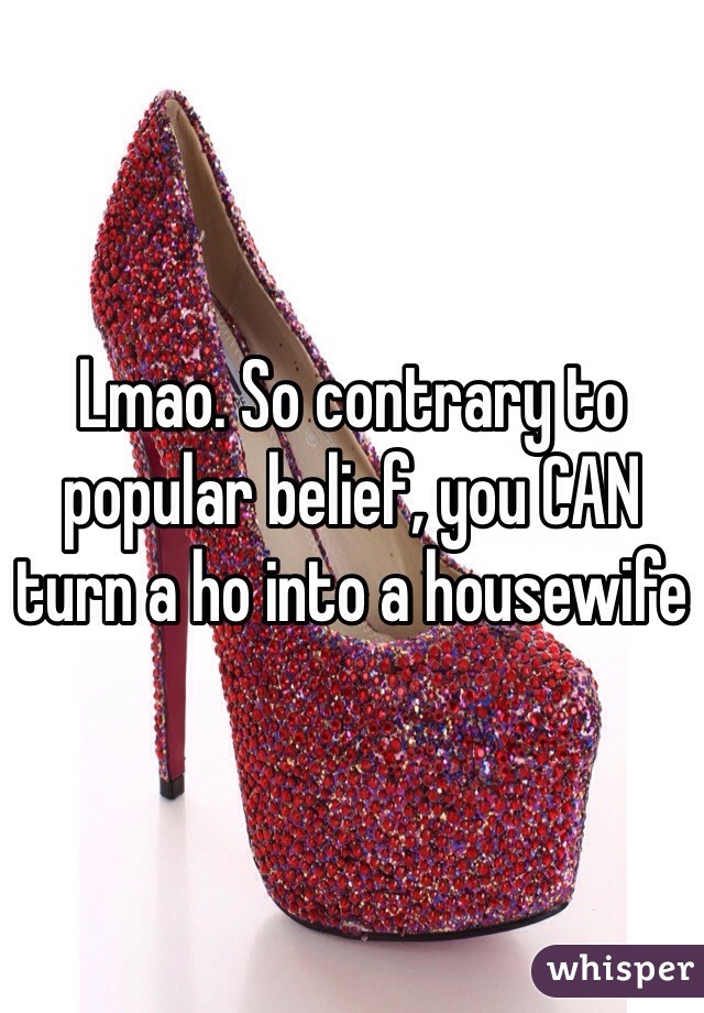 Lmao. So contrary to popular belief, you CAN turn a ho into a housewife 