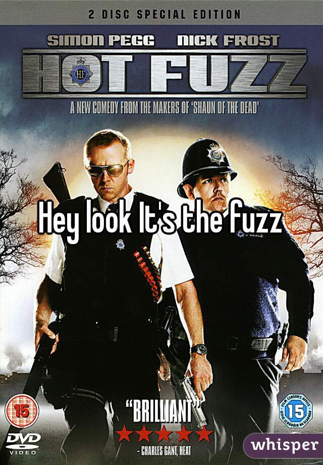 Hey look It's the fuzz