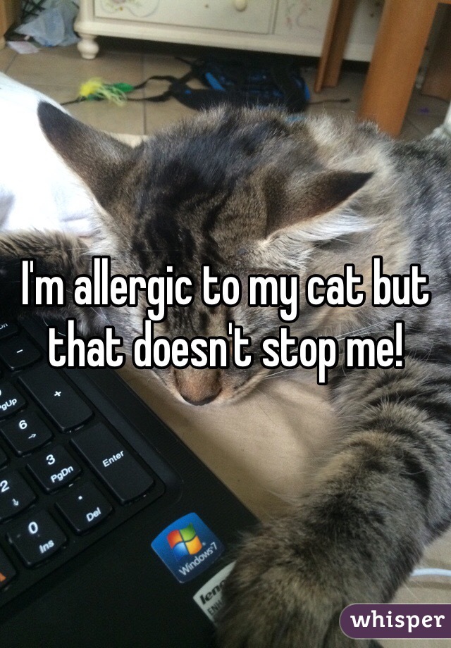 I'm allergic to my cat but that doesn't stop me! 