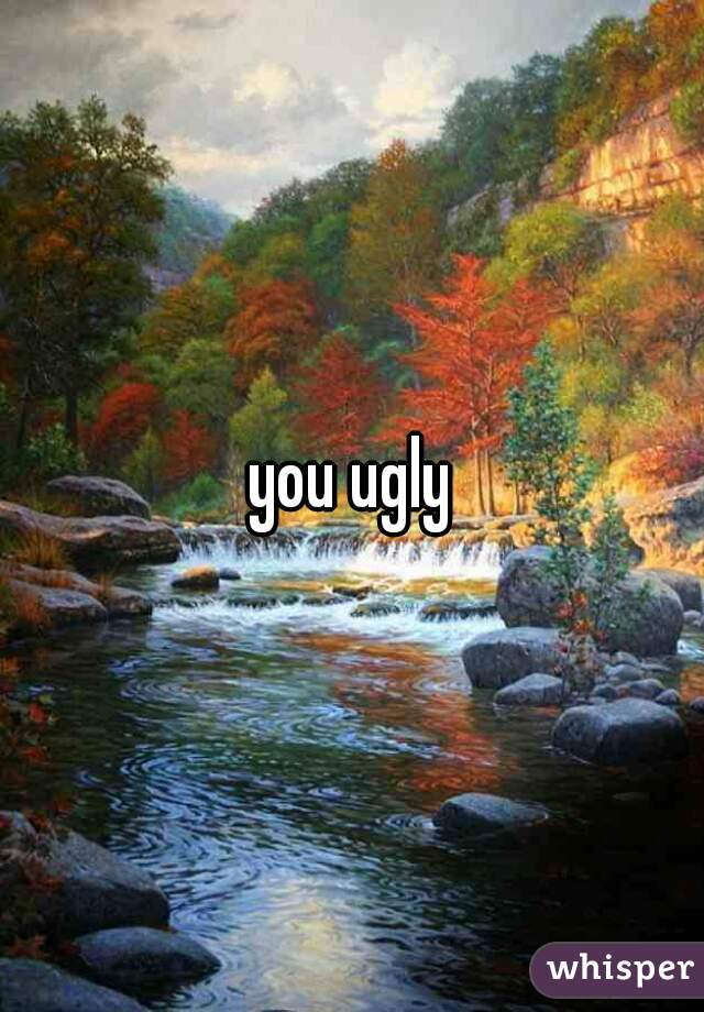 you ugly