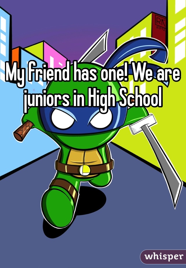 My friend has one! We are juniors in High School 
