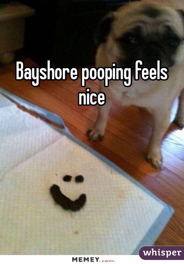 Bayshore pooping feels nice