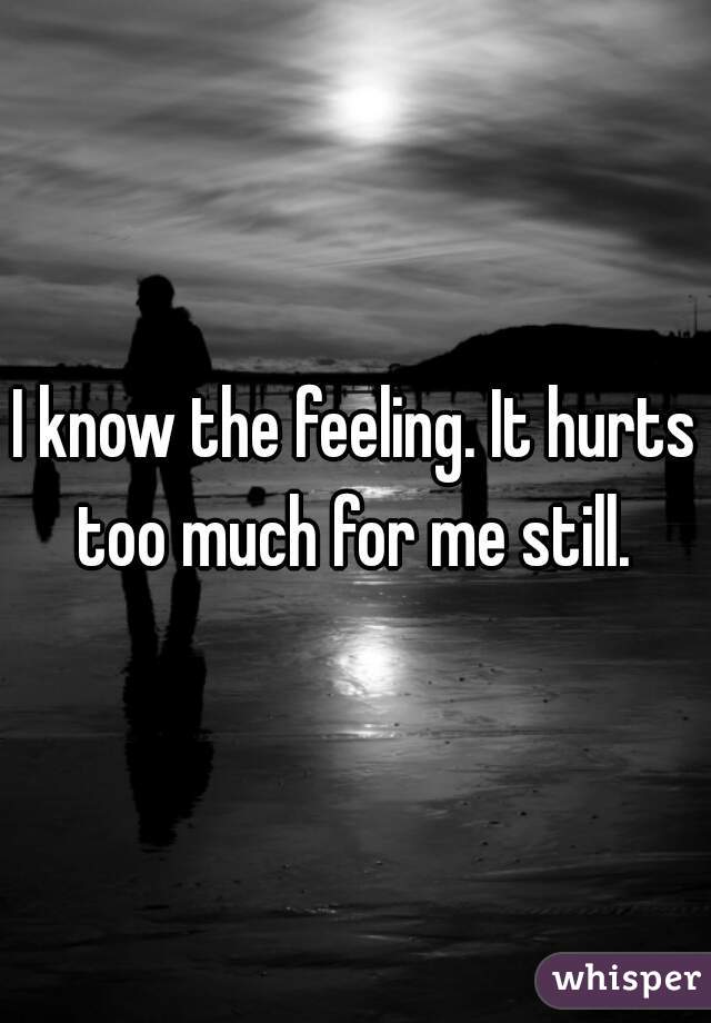 I know the feeling. It hurts too much for me still. 