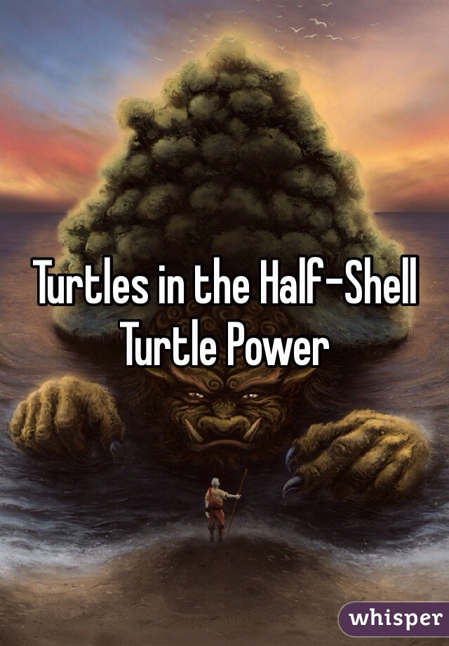 Turtles in the Half-Shell Turtle Power