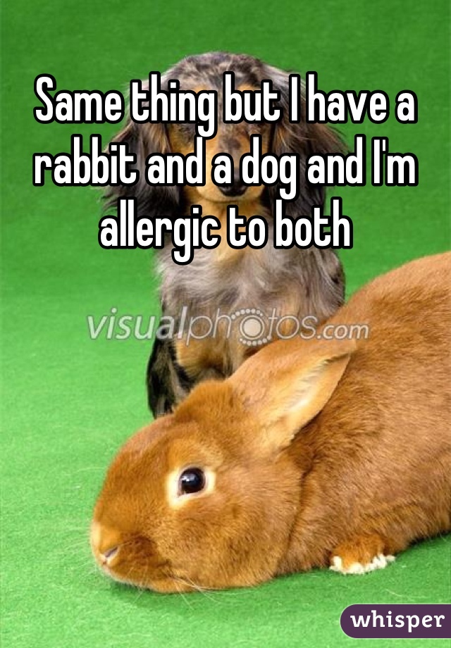 Same thing but I have a rabbit and a dog and I'm allergic to both