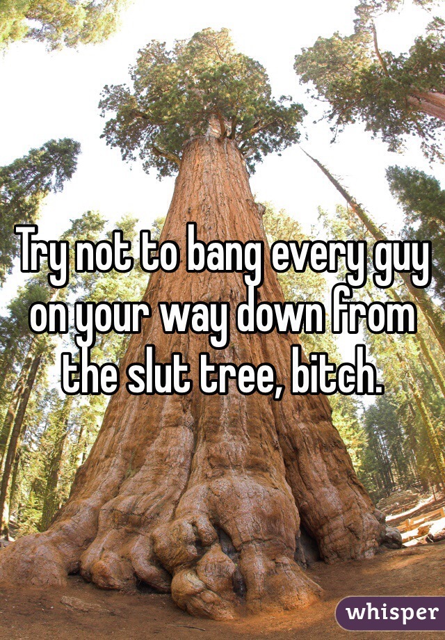 Try not to bang every guy on your way down from the slut tree, bitch.