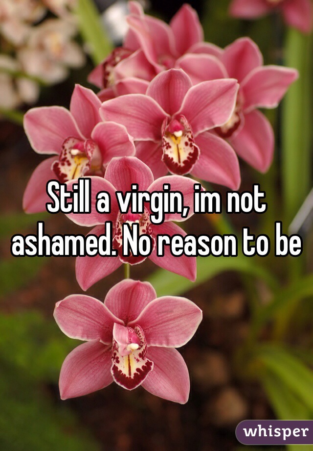 Still a virgin, im not ashamed. No reason to be