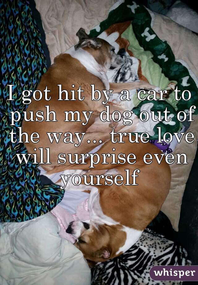 I got hit by a car to push my dog out of the way... true love will surprise even yourself 